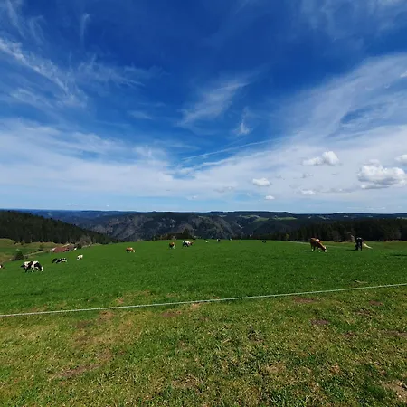 Haus Schanzenblick 4 *